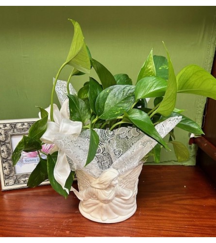 Angelic Planter. An arrangement by Sunny Day Blossoms Design Studio.