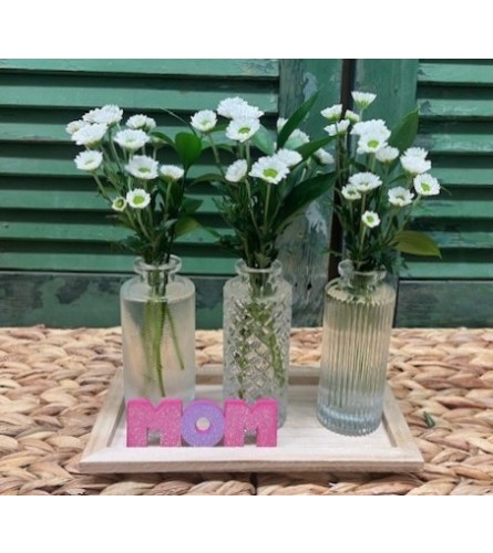 Daisy Hugs for Mom. An arrangement by Forest Florist.