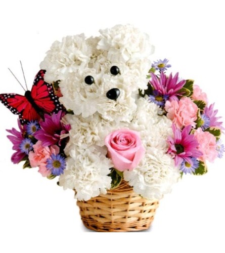 Precious Darling Puppy. An arrangement by Julie's Artistic Rose.