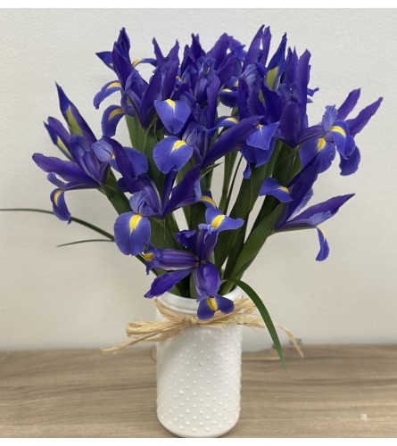 Midnight Iris Embrace. An arrangement by Mae's Flowers and Gifts.
