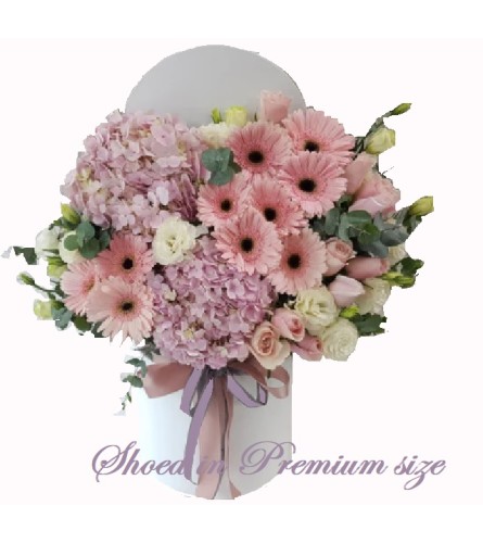 Dreamy Daisy Delight - Deluxe. An arrangement by Geni's Florist and Gifts.