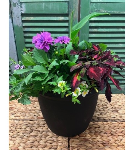 LARGE-Sunshine Garden Outdoor Patio/Deck Pot. An arrangement by Forest Florist.