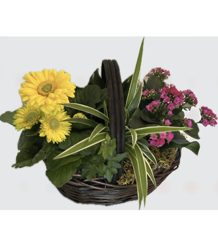 Gratitude Garden Basket. An arrangement by Brooklin Floral and Garden Shoppe Inc..