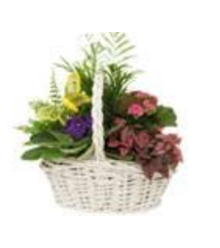 Angie Planter Basket. An arrangement by Owen Sound Flowers.