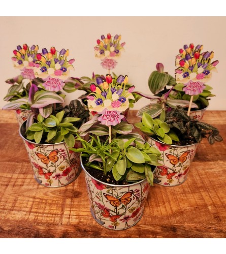 MOTHER'S DAY PLANTER. An arrangement by A Loving Touch Florist.