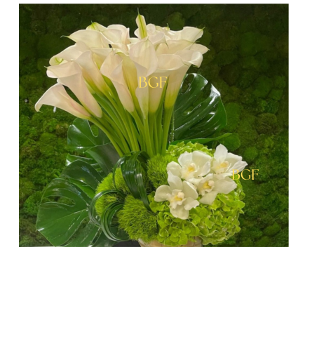 Green Glamour Cala. An arrangement by Brickell Exclusive Blooms.