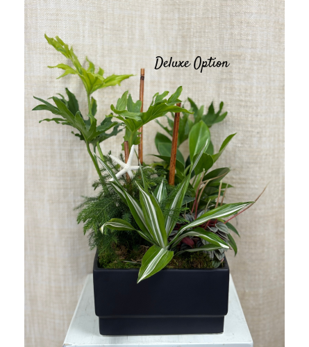 London's Garden - Deluxe. An arrangement by Shell Beach Floral Design.