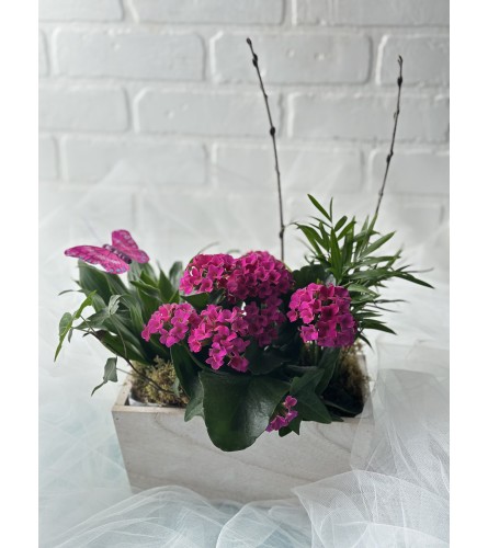Pretty in Pink Planter. An arrangement by Brooklin Floral and Garden Shoppe Inc..