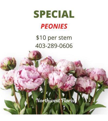 Peony Specual 2025. An arrangement by Northwest Florist.