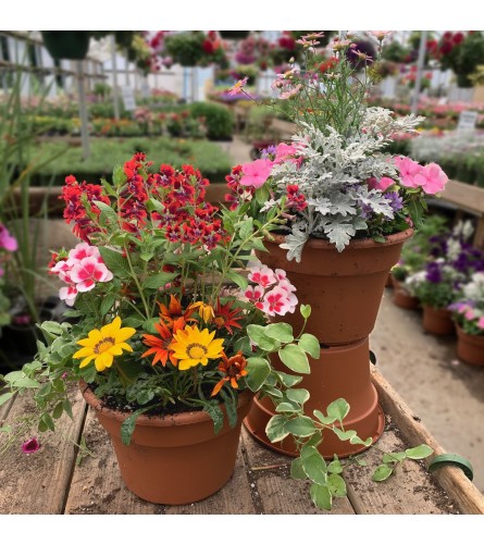 10 Mixed Patio Pot. An arrangement by Colonial Gardens Florist And Greenhouses.