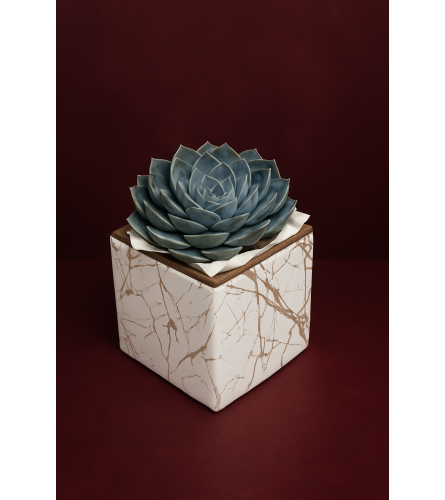 Eclatic Succulents. An arrangement by Brickell Exclusive Blooms.