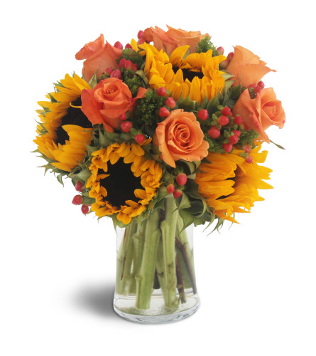 Sweet Harvest Sunflowers. An arrangement by Fellows Fernlea Flowers.