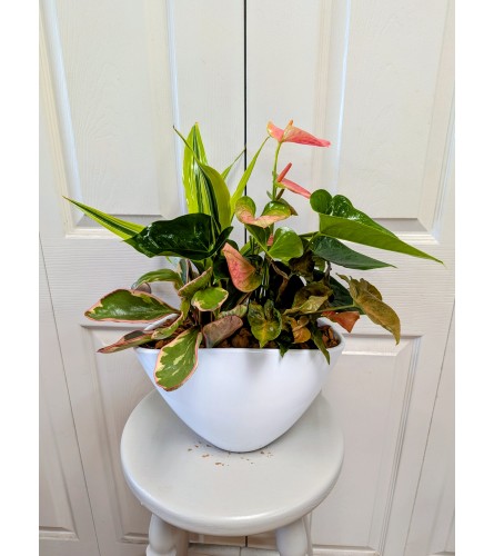 White Anthurium Planter - Deluxe. An arrangement by My Secret Garden.