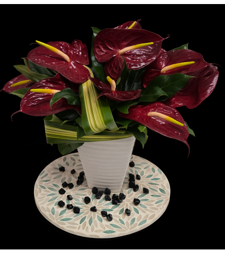 Red Anthurium Eclectic - Deluxe. An arrangement by Brickell Exclusive Blooms.