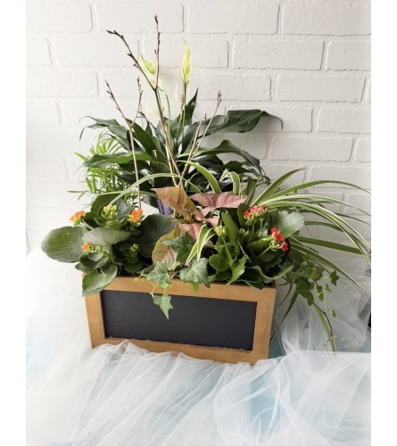 Large Wood Dish Garden Box - Standard. An arrangement by Brooklin Floral and Garden Shoppe Inc..