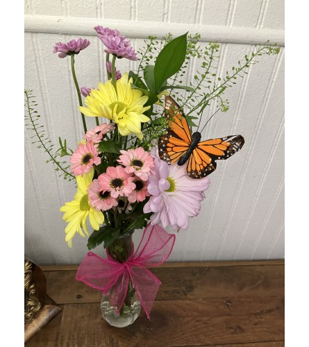 Butterfly Daisy Delight. An arrangement by The Flower Box Florist.