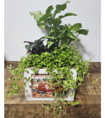 Red Truck Pumpkin Patch Planter. An arrangement by A Loving Touch Florist.