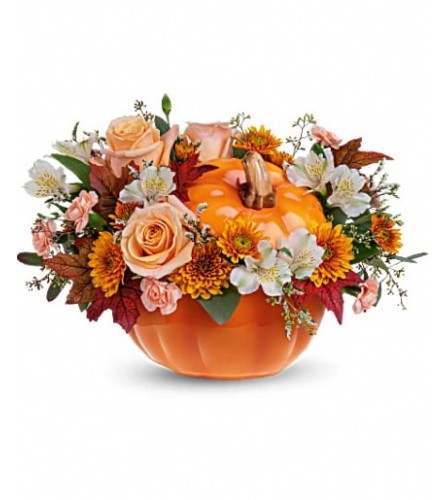 Hello Pumpkin. An arrangement by Aurora Greenhouse.