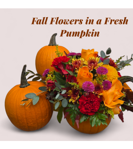 Fall arrangement in a fresh pumpkin. An arrangement by Flower Trends Florists.