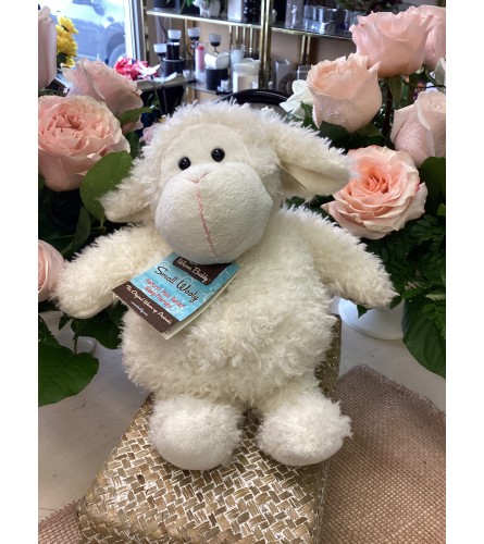 Sheep Warm Buddy. An arrangement by Roma Flowers and Gifts.