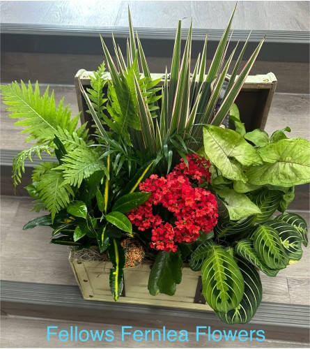 Fellows Vintage Memories. An arrangement by Fellows Fernlea Flowers.