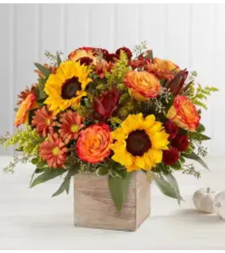 Exotic Fall Cube. An arrangement by Doral Flower District and Design.
