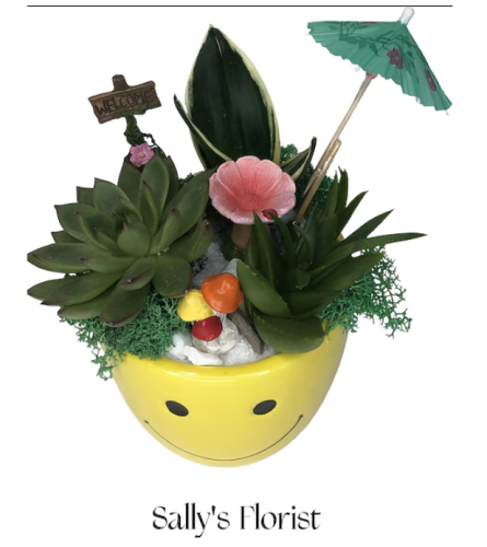 Sally’s Fun in the Sun Succulents - Deluxe. An arrangement by Triple A Florist.
