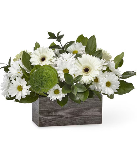 Contrast of Green and White. An arrangement by Flowers and Beyond.