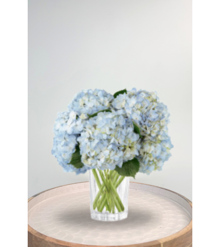 Joyful Inspirations Hydrangea - Deluxe. An arrangement by Blossoms On The Trail.