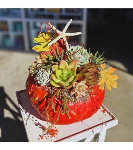 Coastal Harvest. An arrangement by Shell Beach Floral Design.