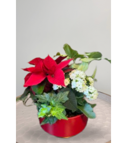 Red Ring Planter. An arrangement by Blossoms On The Trail.