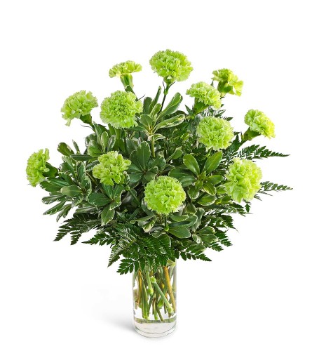 One Dozen Green Carnations. An arrangement by The Flower Shop of Lake Charles.