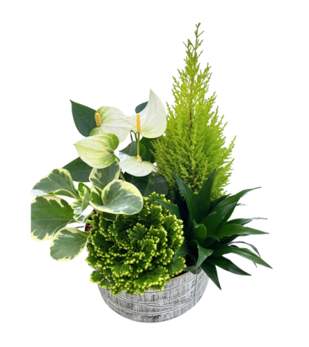 Christmas Gold. An arrangement by The Garden Gate Gifts and Florals.