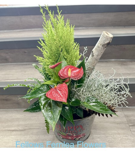 Holiday Truck Planter. An arrangement by Fellows Fernlea Flowers.