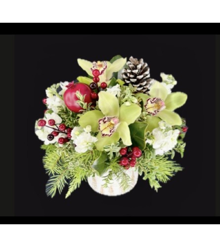 Orchid Winter Charm Centrepiece - Deluxe. An arrangement by Hillcrest Florist.