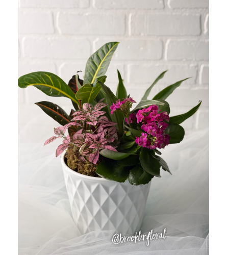 Medium Tropical Whtie Ceramic Planter. An arrangement by Brooklin Floral and Garden Shoppe Inc..