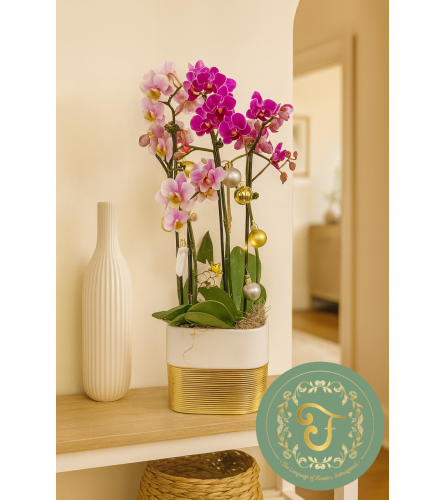 Duo-Delight Orchid Garden with Lights - Purple. An arrangement by Roma James Gifts.