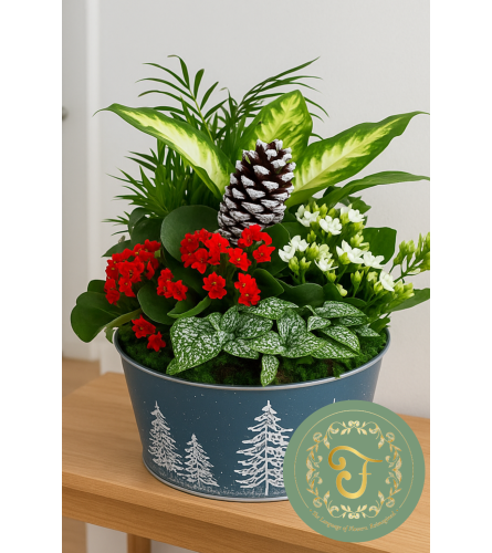 Aspen Garden Planter. An arrangement by Roma James Gifts.