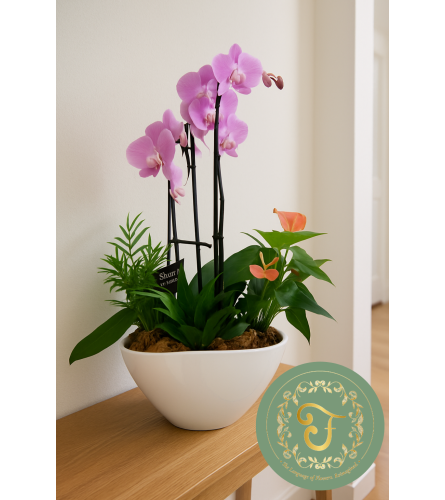 Eileen Orchid Planter. An arrangement by Floratechnics.