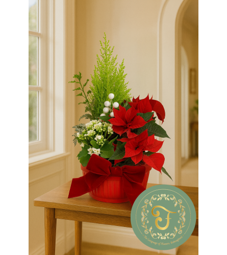 Christmas Candy Garden in Red Ceramic. An arrangement by Lori's Hearts and Flowers.