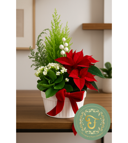 Christmas Candy Garden in White Ceramic. An arrangement by Roma James Gifts.