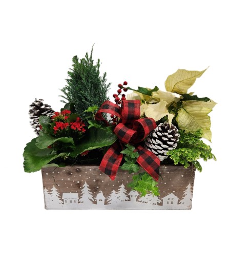 Winter forest planter box. An arrangement by Prestige Floral.