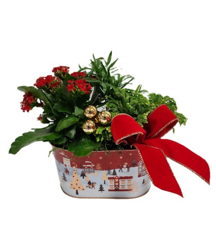 Holiday Joy Planter. An arrangement by Prestige Floral.