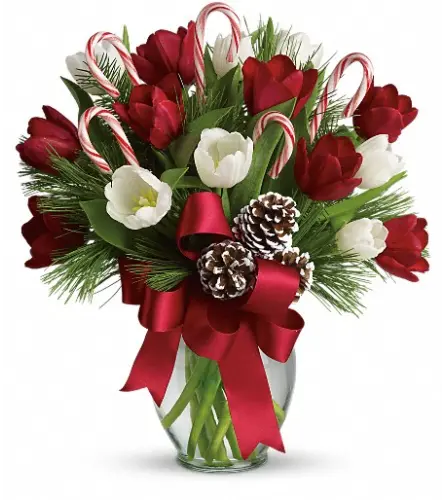 Holiday Tulip Cheer - Deluxe. An arrangement by Kitchener Ontario Florist.