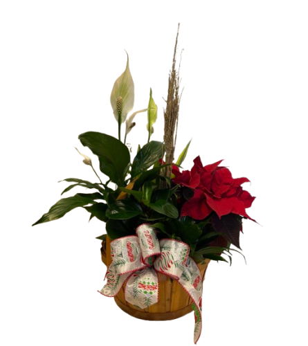 ❤️ Christmas Cheer Planter. An arrangement by Kitchener Ontario Florist.