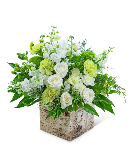 Vanilla Birch. An arrangement by The Flower Shop of Lake Charles.