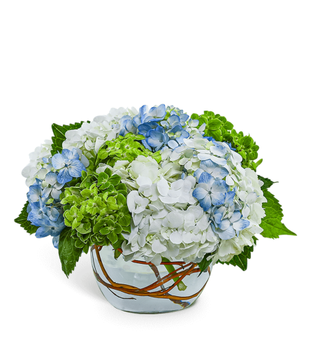 Dreamy Hydrangea. An arrangement by The Flower Shop of Lake Charles.