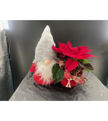 CHRISTMAS KNOME. An arrangement by Floral Boutique.