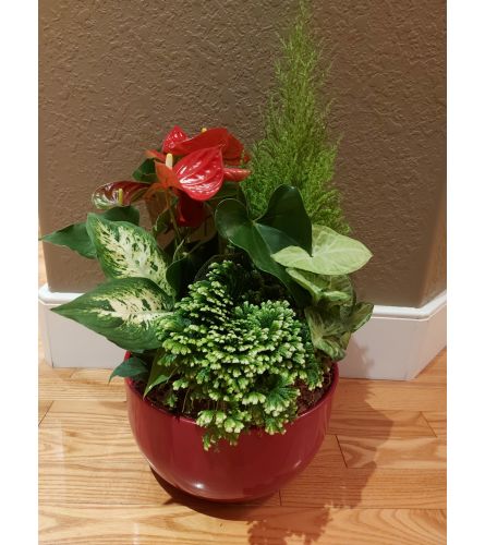 Festive Holiday Planter - Standard. An arrangement by Loyalist Flowers.