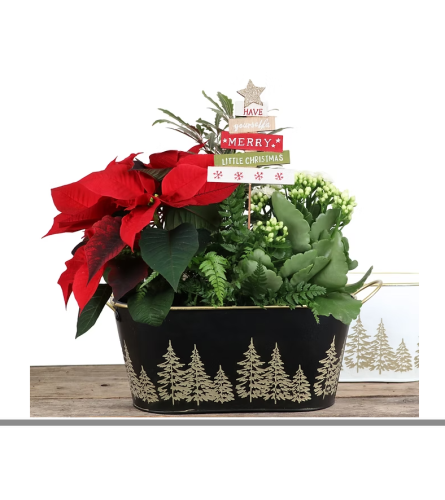 Gold tree Christmas planter (white or black). An arrangement by The Flower Shop in the Village.